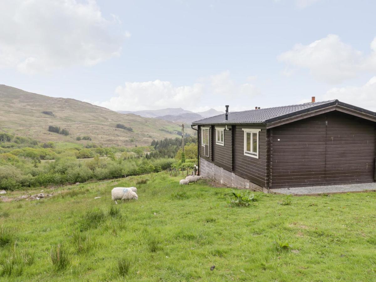 Snowdon Vista Cabin Caernarfon Exterior foto