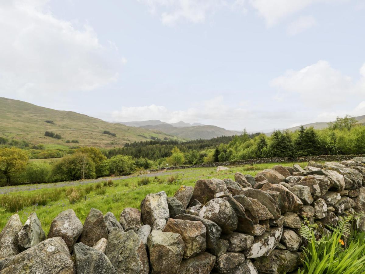 Snowdon Vista Cabin Caernarfon Exterior foto